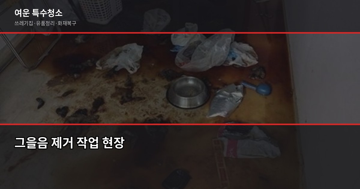 화재복구 청소 보험 처리, 어디서부터 시작해야 할까 2