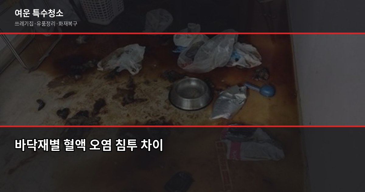 혈액 오염 특수청소 비용, 현장에서 직접 보면 이렇게 결정됩니다 2
