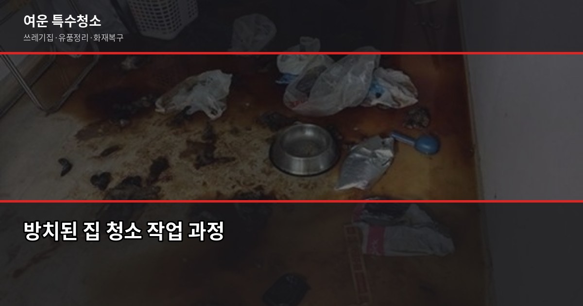 방치된 집 청소 비용, 원룸 80만원부터 시작하는 이유 2