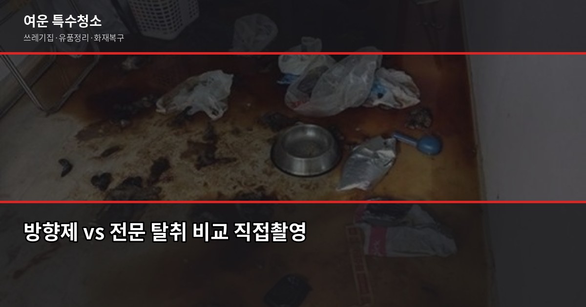 쓰레기집 냄새 제거, 유품정리 전문업체 선택이 핵심입니다 2