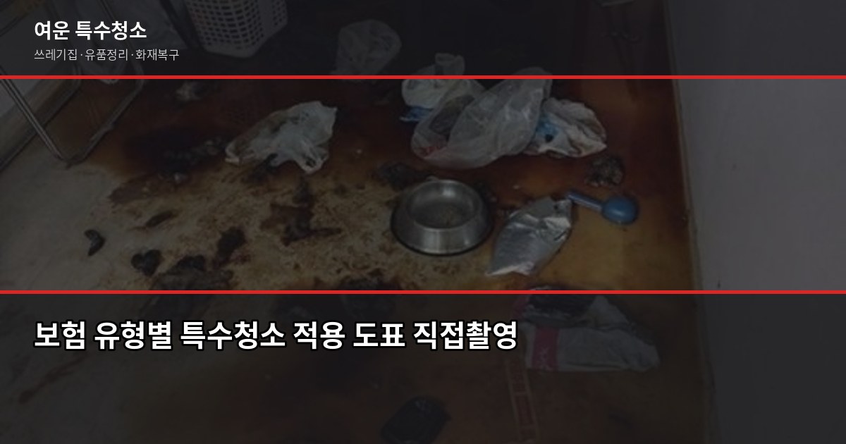 특수청소 보험 적용 되나요? 실비·화재보험 청구 가능한 경우 2