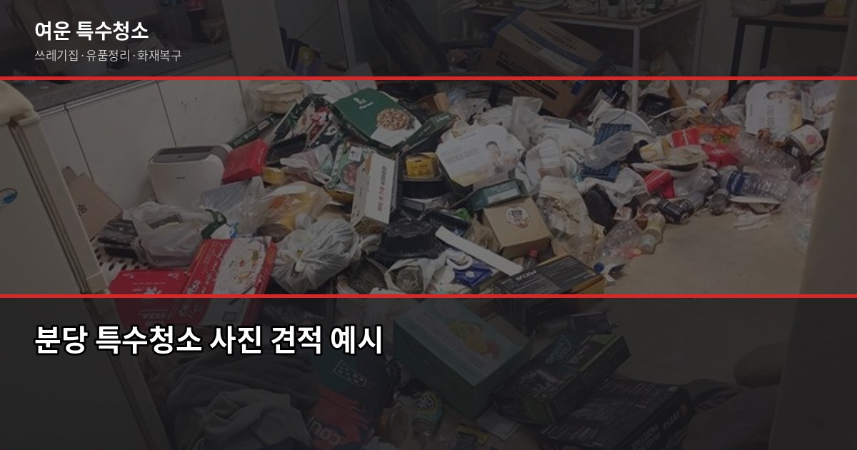 분당 특수청소 추천, 업체 고를 때 꼭 확인할 5가지 2