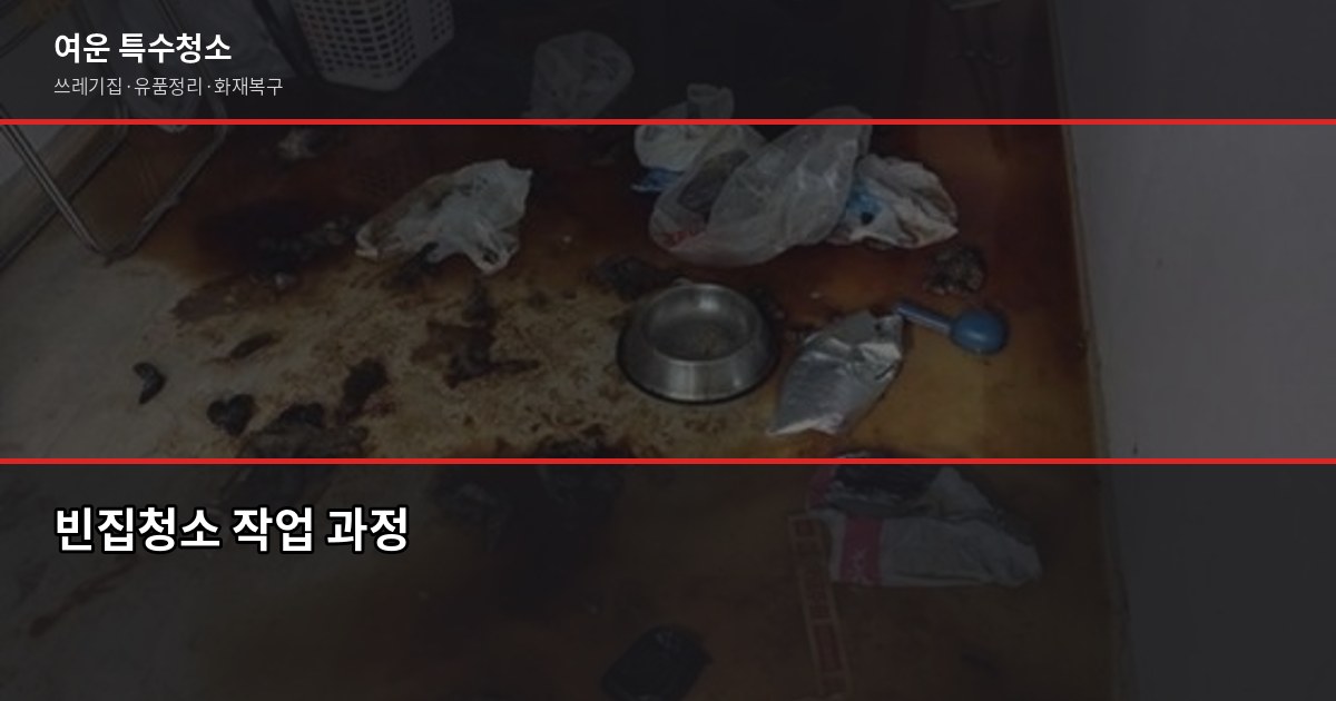 빈집청소 비용, 50만원대부터 시작하는 이유 (원룸·투룸·아파트) 2