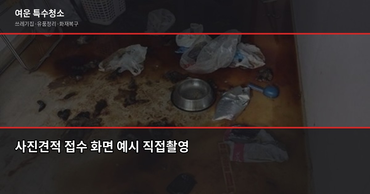 쓰레기집 청소, 직접 의뢰해보니 이런 순서로 진행됐습니다 2