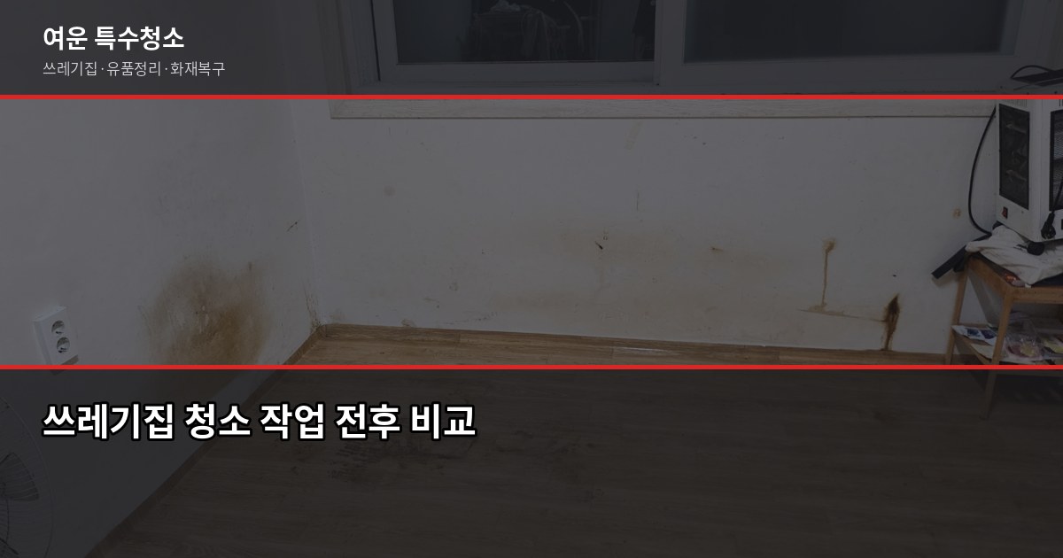 평택시 특수청소 비용과 진행 방식, 유형별로 다릅니다 2