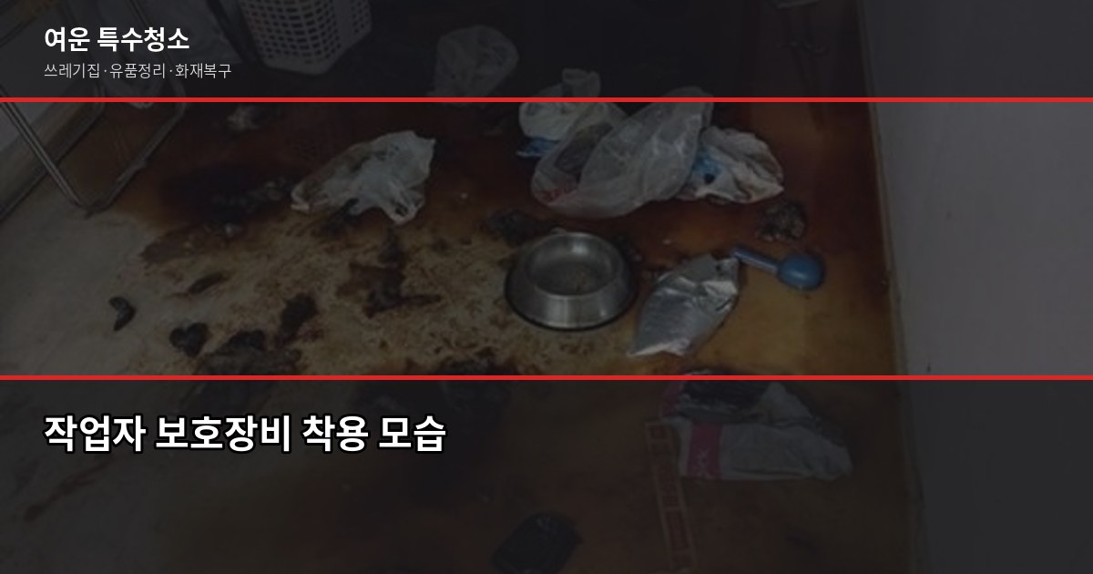 안전한 쓰레기집 청소, 원룸 기준 50만원대부터 비용과 절차 2