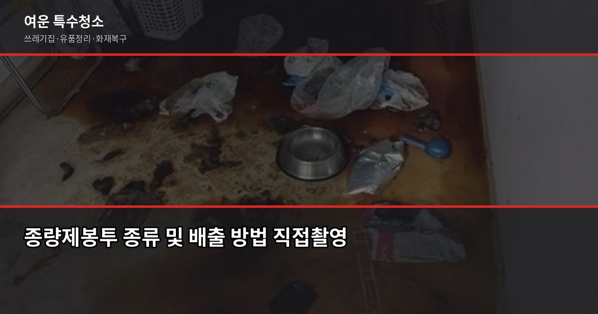 폐기물 종류별 처리 방법, 잘못 버리면 과태료 나옵니다 2
