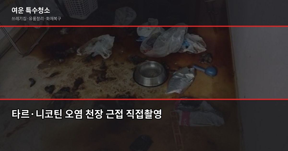 담배냄새 제거 전문 청소, 셀프로 안 되는 이유가 있습니다 2