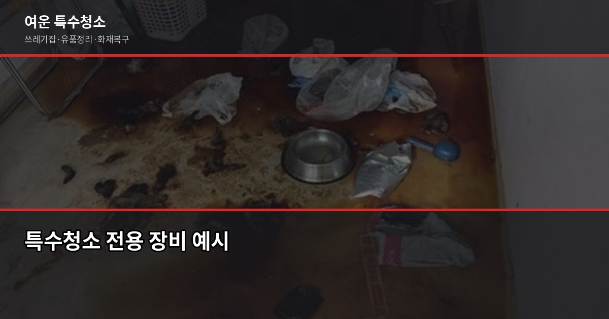 특수청소, 일반 청소랑 뭐가 다를까? 차이 5가지 2