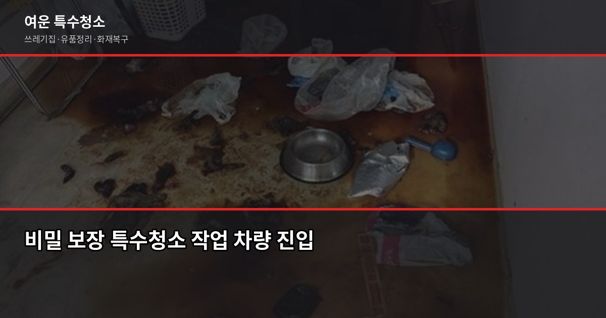 분당 특수청소 추천, 업체 고를 때 꼭 확인할 5가지 3