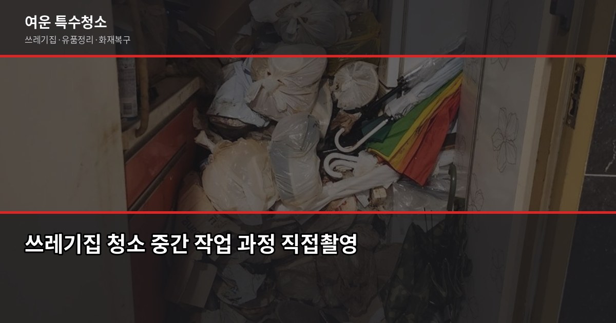 쓰레기집 청소, 혼자 시작하면 안 되는 진짜 이유 3
