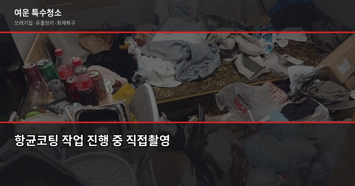 곰팡이 집 특수청소 방법, 셀프로 안 되는 이유가 있습니다 3