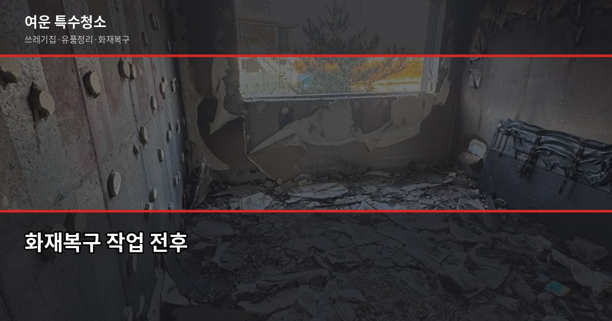 전문특수청소업체, 원룸 쓰레기집 50만원부터.. 곰팡이·화재복구 가격 정리 3