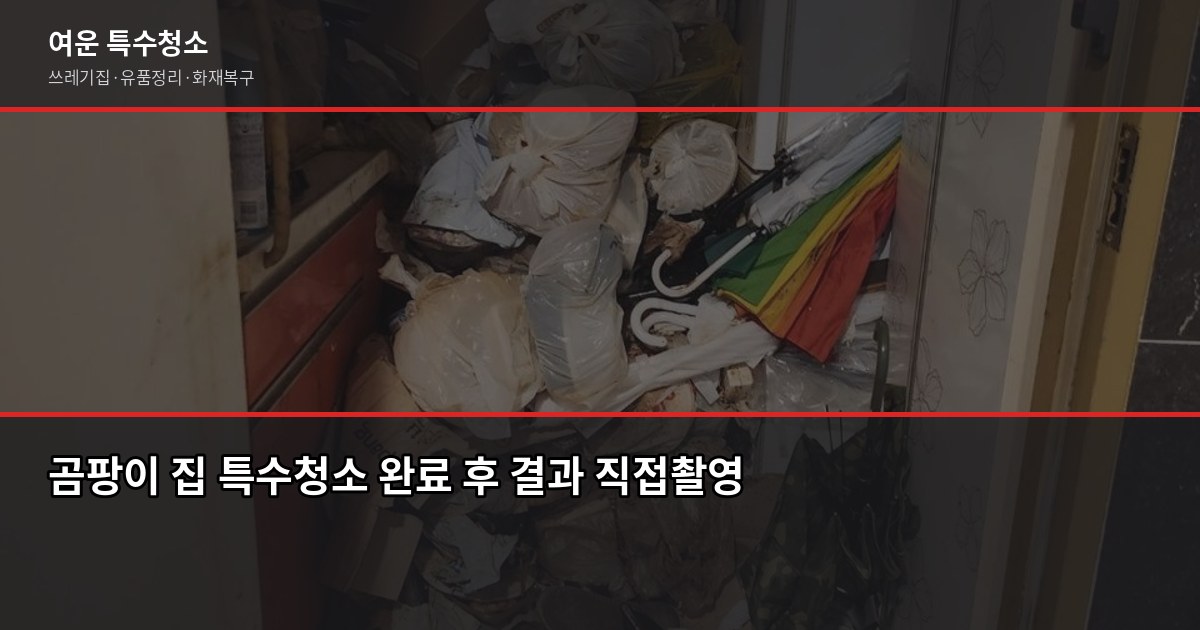 곰팡이 집 특수청소 방법, 셀프로 안 되는 이유가 있습니다 4