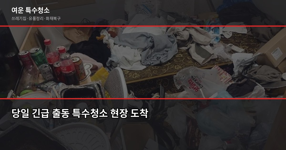 분당 특수청소 추천, 업체 고를 때 꼭 확인할 5가지 4