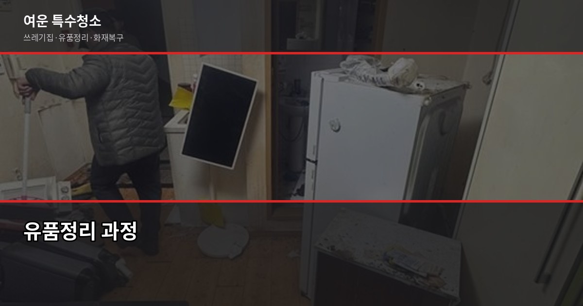 전문특수청소업체, 원룸 쓰레기집 50만원부터.. 곰팡이·화재복구 가격 정리 4