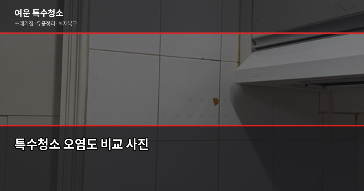 분당구 특수청소, 쓰레기집·고독사·유품정리 비용과 진행 과정 4