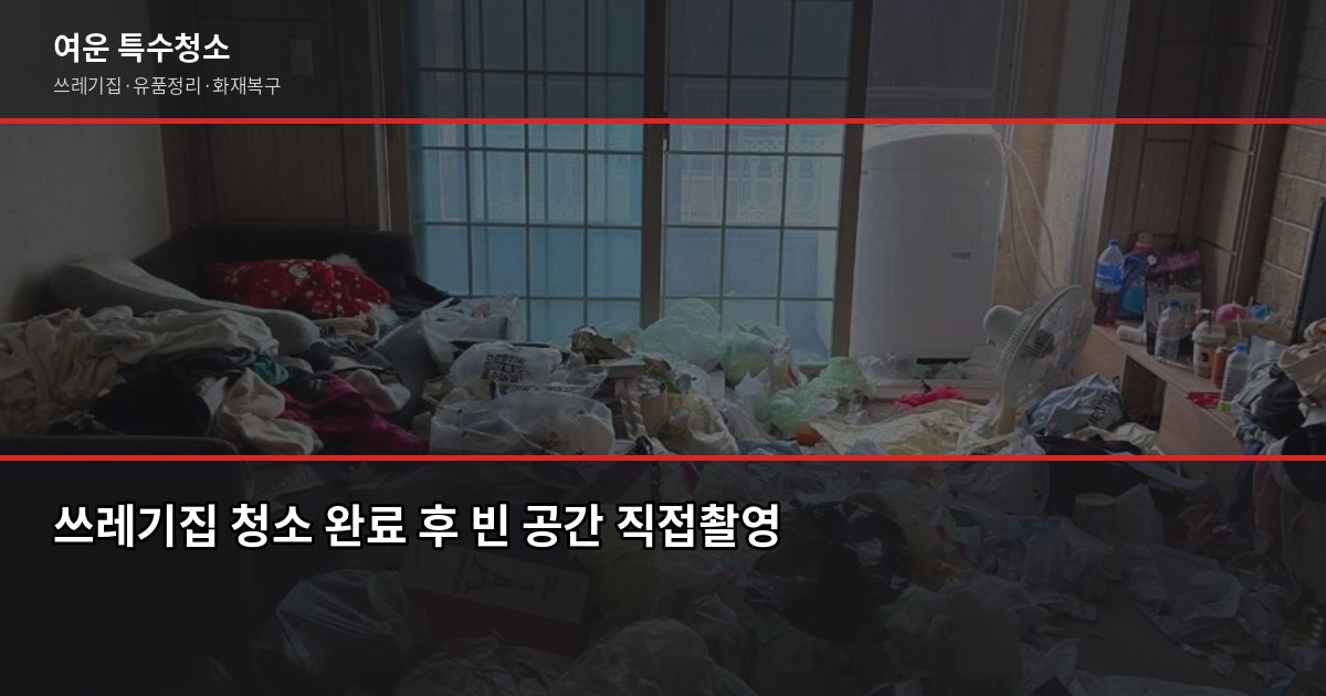 쓰레기집 청소, 혼자 시작하면 안 되는 진짜 이유 5