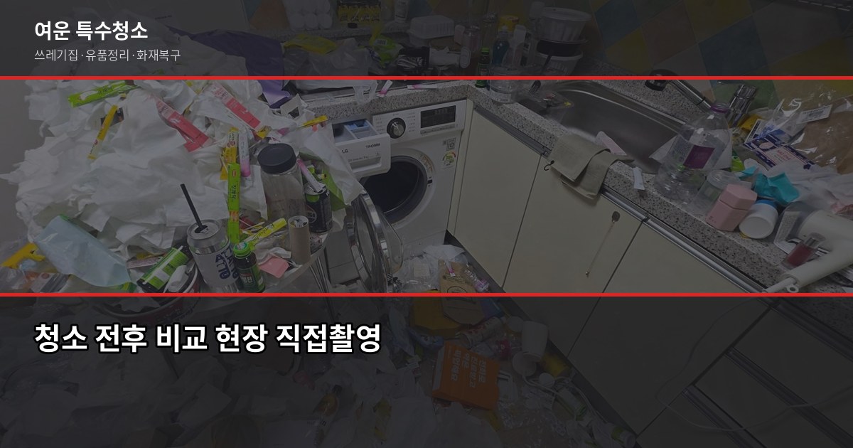 쓰레기집 직접 청소하면 오히려 손해인 이유 5