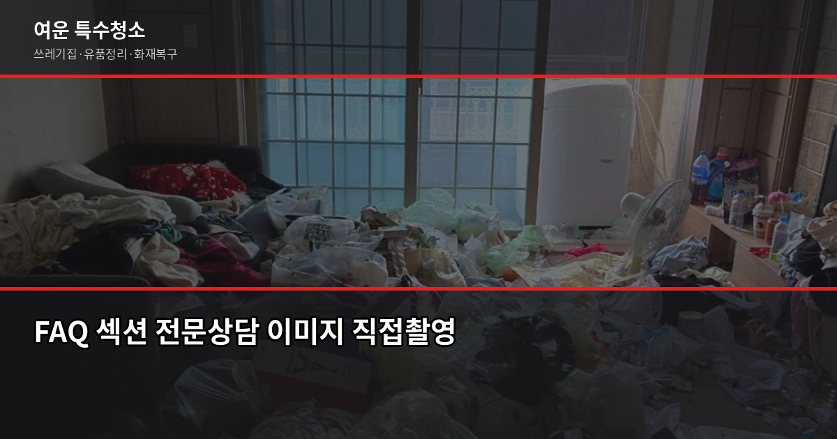 곰팡이 집 특수청소 방법, 셀프로 안 되는 이유가 있습니다 6