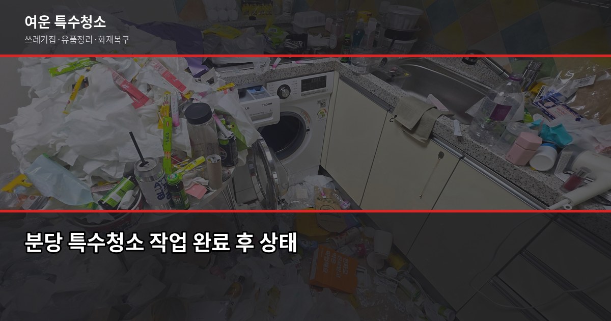 분당 특수청소 추천, 업체 고를 때 꼭 확인할 5가지 6