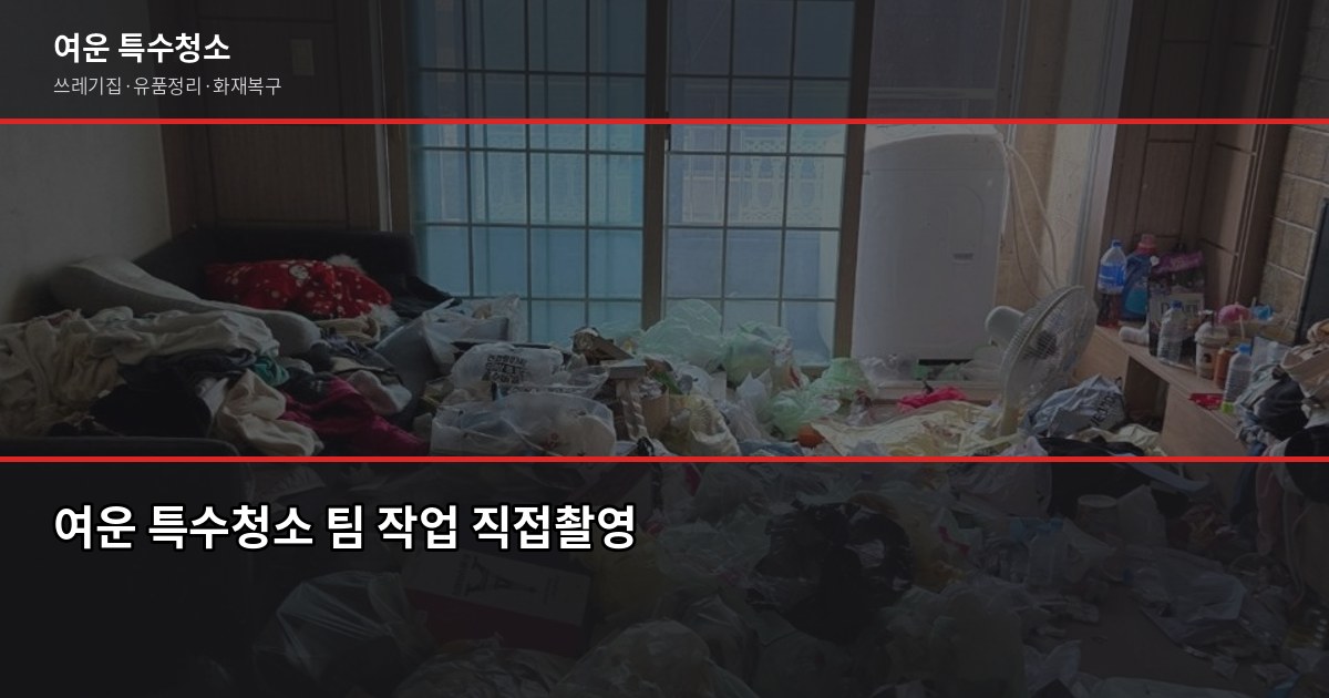 쓰레기집 냄새 제거, 유품정리 전문업체 선택이 핵심입니다 6