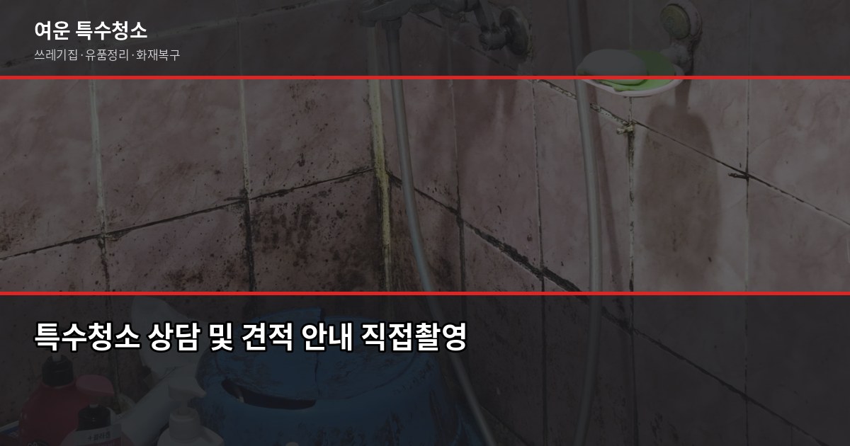 동탄구 특수청소, 어디서부터 시작해야 할지 모르겠다면 6