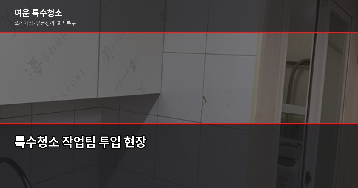 분당구 특수청소, 쓰레기집·고독사·유품정리 비용과 진행 과정 6