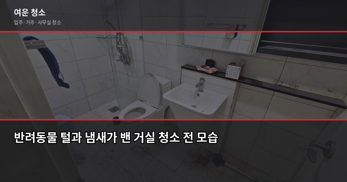 반려동물 집 청소 꿀팁, 털·냄새·바닥 오염 실전 해결법 1