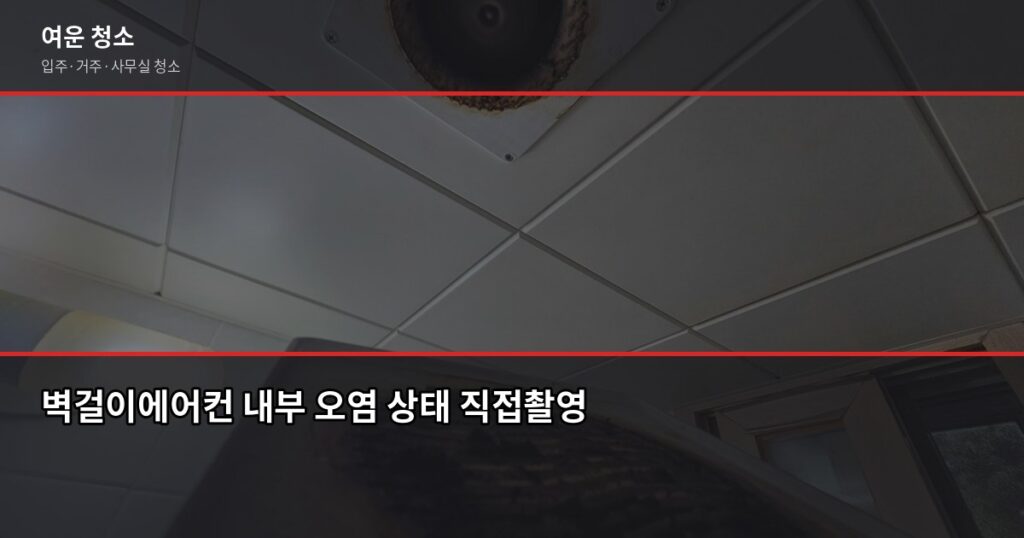 벽걸이에어컨청소, 셀프로 할까 업체에 맡길까 - 벽걸이에어컨 내부 오염 상태 직접촬영