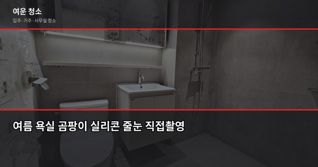 여름 곰팡이 청소, 셀프로 안 되는 이유와 전문 청소 비용 - 여름 욕실 곰팡이 실리콘 줄눈 직접촬영