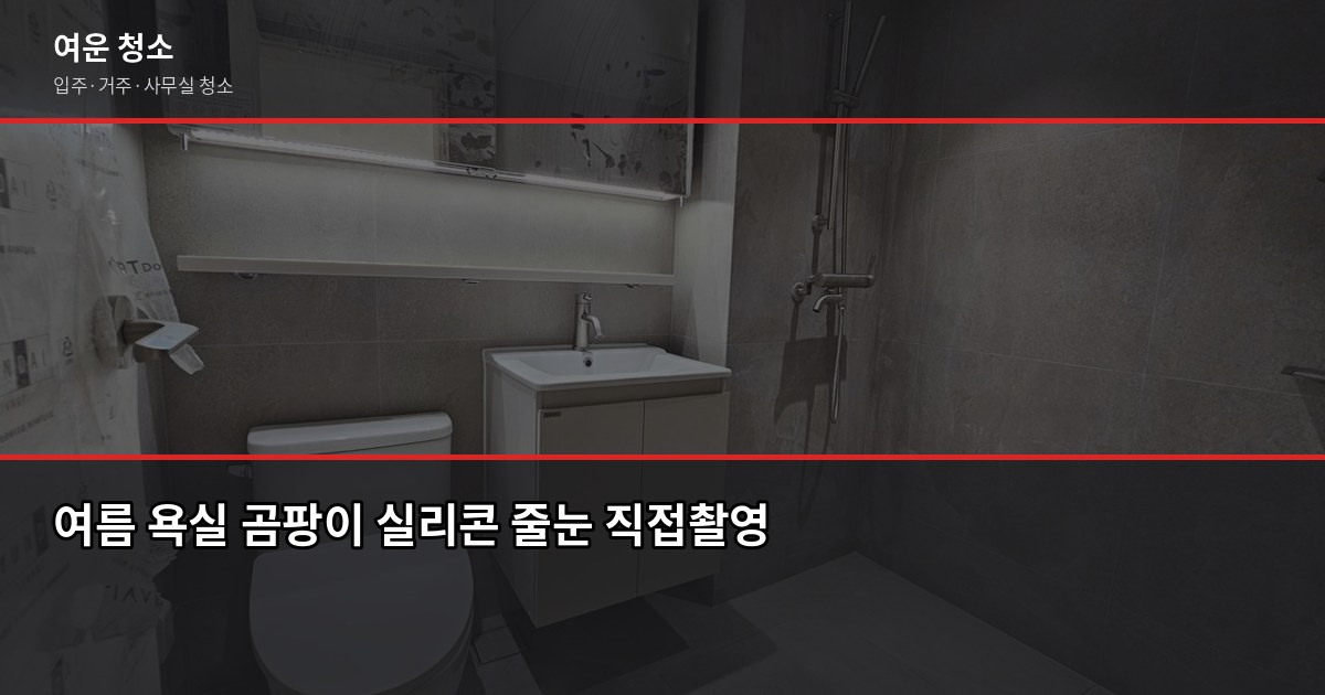 여름 곰팡이 청소, 셀프로 안 되는 이유와 전문 청소 비용 1