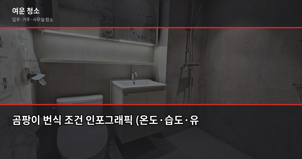 여름 곰팡이 예방 청소법, 집에서 바로 할 수 있는 방법 2