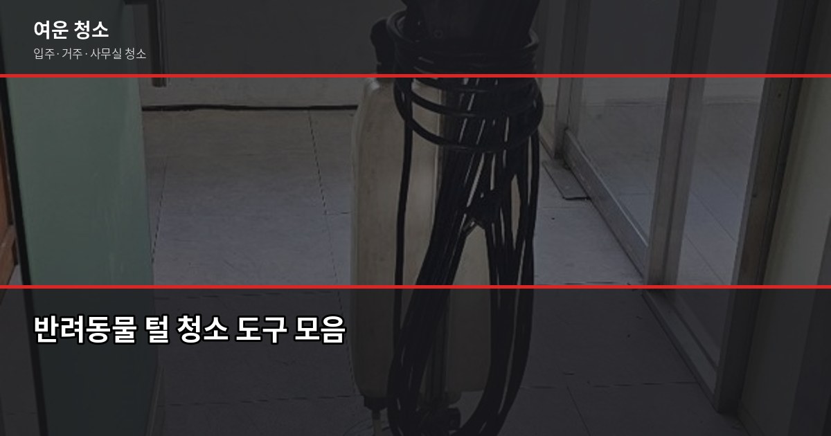 반려동물 집 청소 꿀팁, 털·냄새·바닥 오염 실전 해결법 2