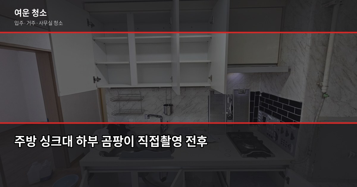 여름 곰팡이 청소, 셀프로 안 되는 이유와 전문 청소 비용 2