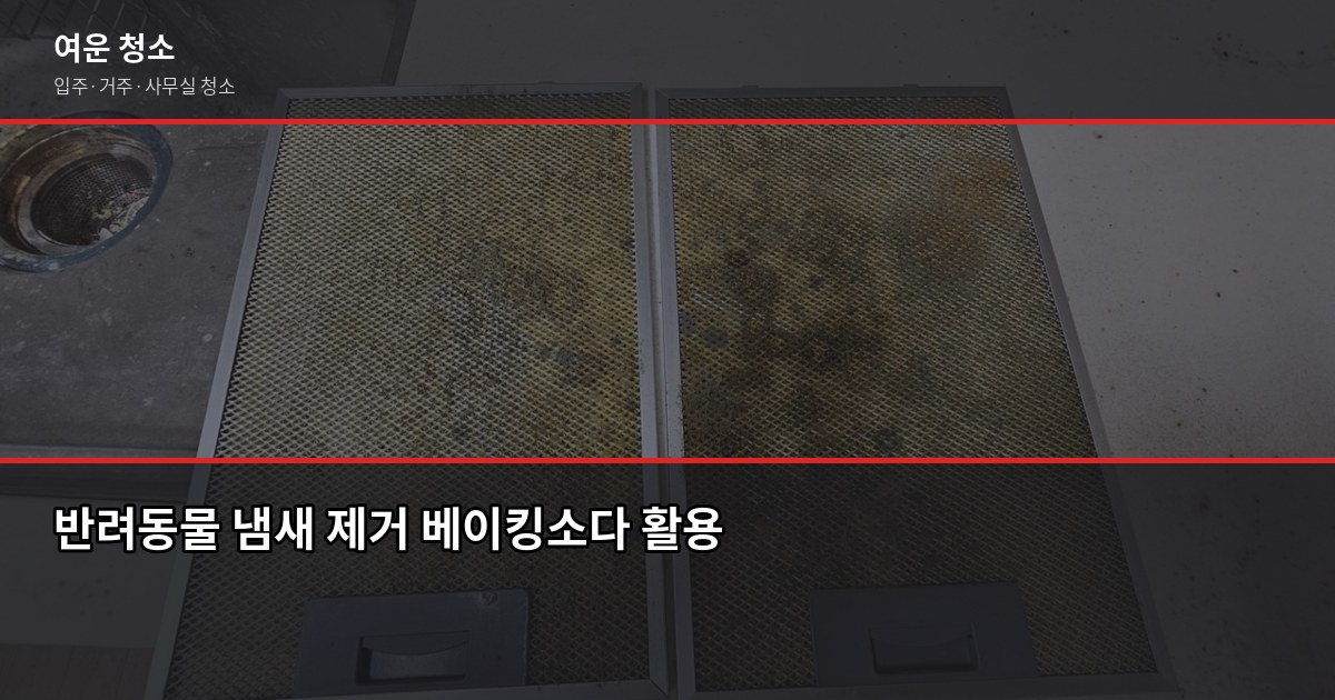 반려동물 집 청소 꿀팁, 털·냄새·바닥 오염 실전 해결법 3