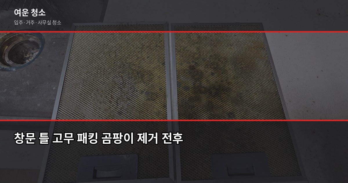 여름 곰팡이 예방 청소법, 집에서 바로 할 수 있는 방법 3
