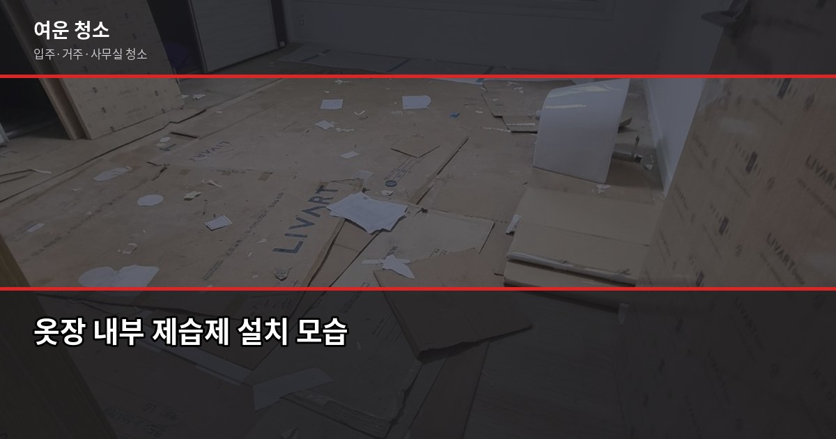 여름 곰팡이 예방 청소법, 집에서 바로 할 수 있는 방법 4
