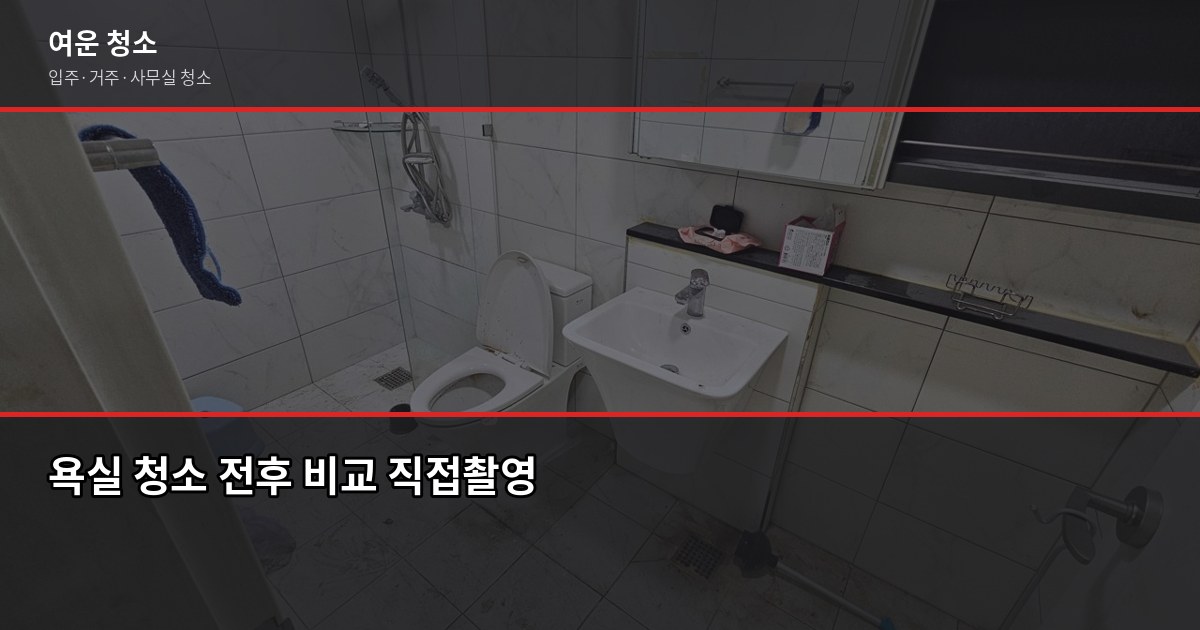 여름 곰팡이 청소, 셀프로 안 되는 이유와 전문 청소 비용 4