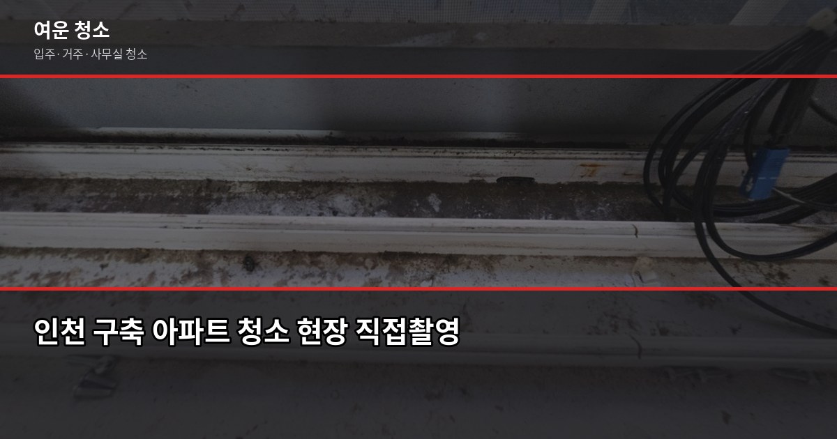 인천 아파트 입주청소 비용과 업체 고르는 기준, 직접 써봤습니다 4