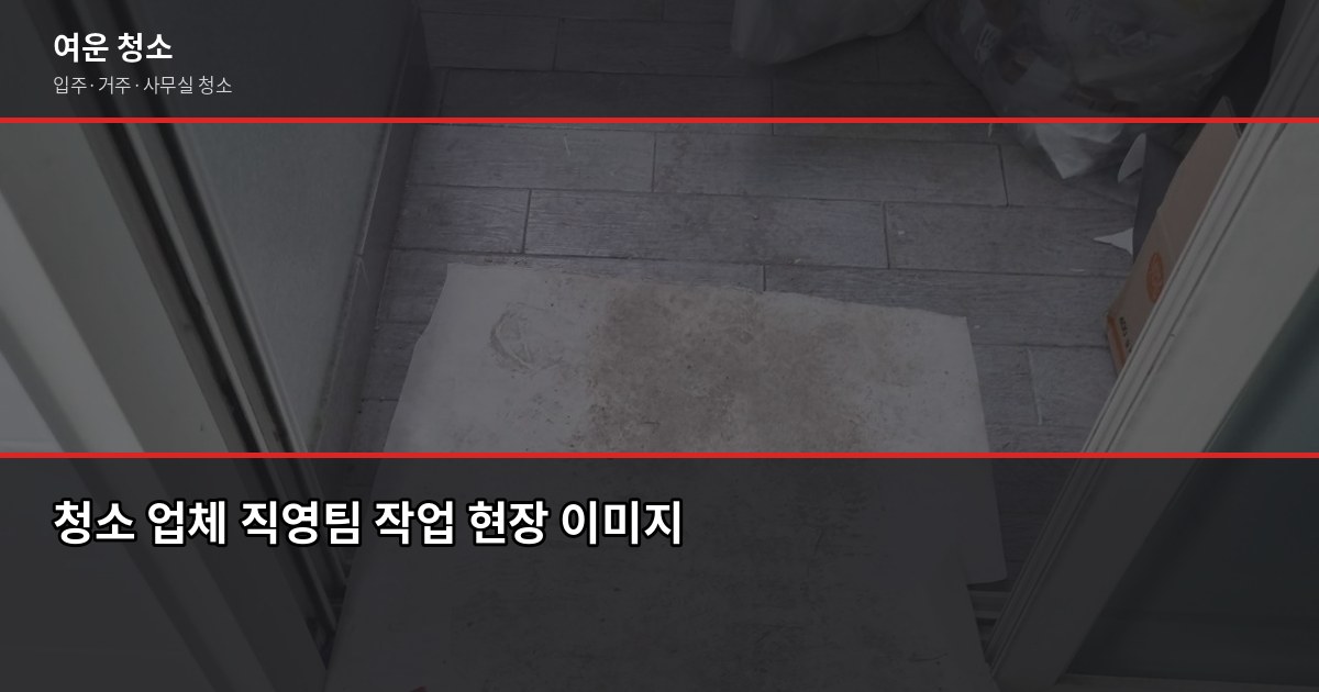 구래동 입주청소 비용, 원룸부터 투룸까지 실제 기준으로 정리 4