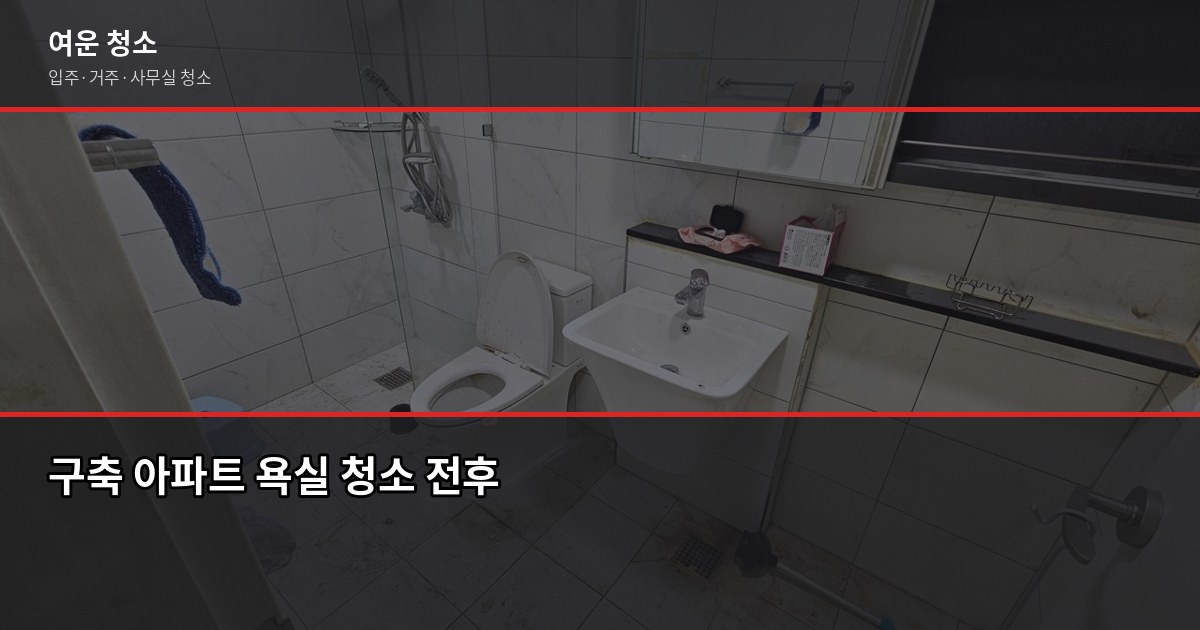 입주청소 업체 선택 기준 5가지, 이것만 보면 실패 없습니다 5