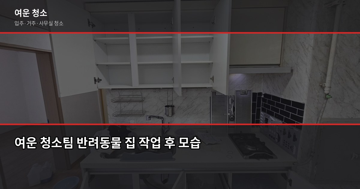 반려동물 집 청소 꿀팁, 털·냄새·바닥 오염 실전 해결법 6