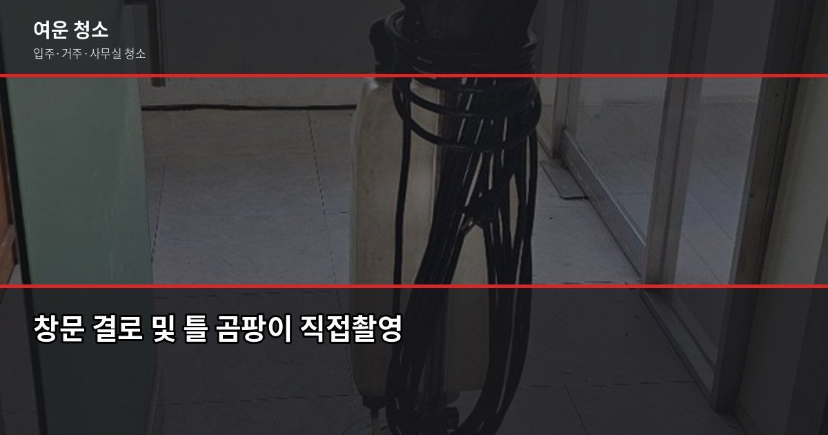 여름 곰팡이 청소, 셀프로 안 되는 이유와 전문 청소 비용 6