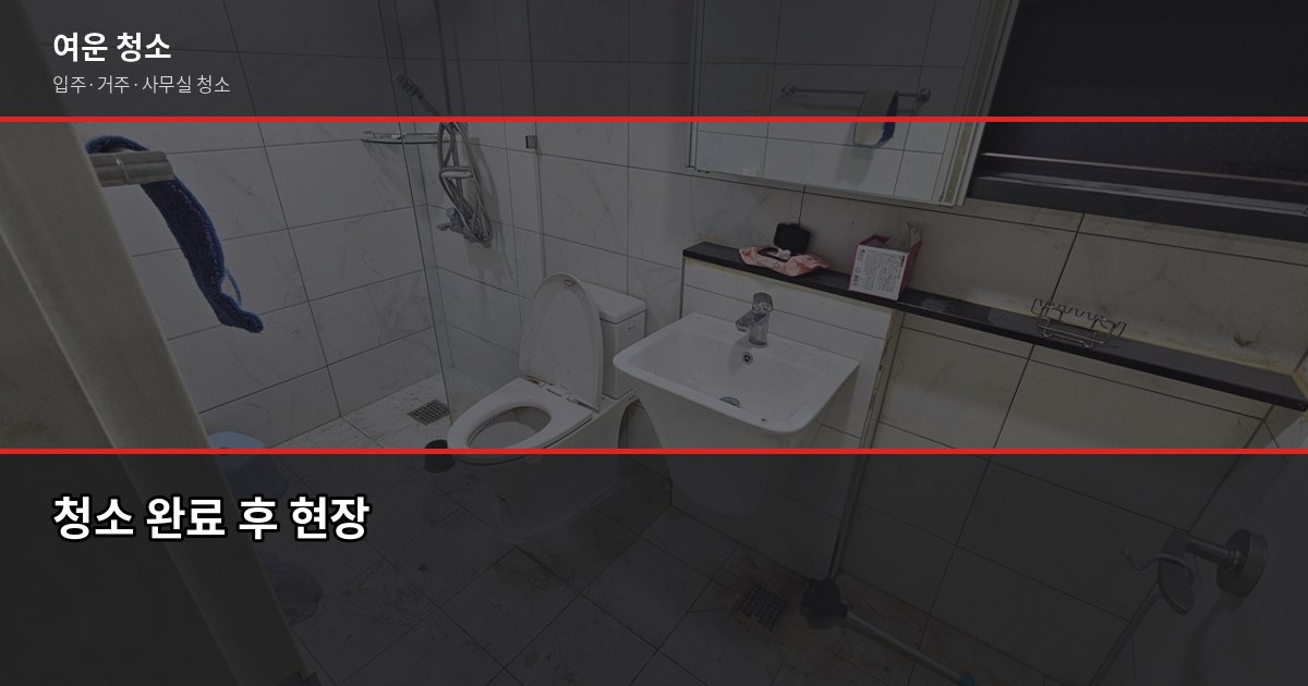 서울 청소업체 고르는 법, 견적 받기 전에 확인할 것들 6
