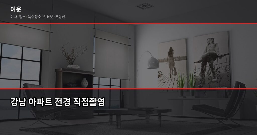 강남 전세 계약 전 확인해야 할 것들, 사기 피하는 방법 - 강남 아파트 전경 직접촬영