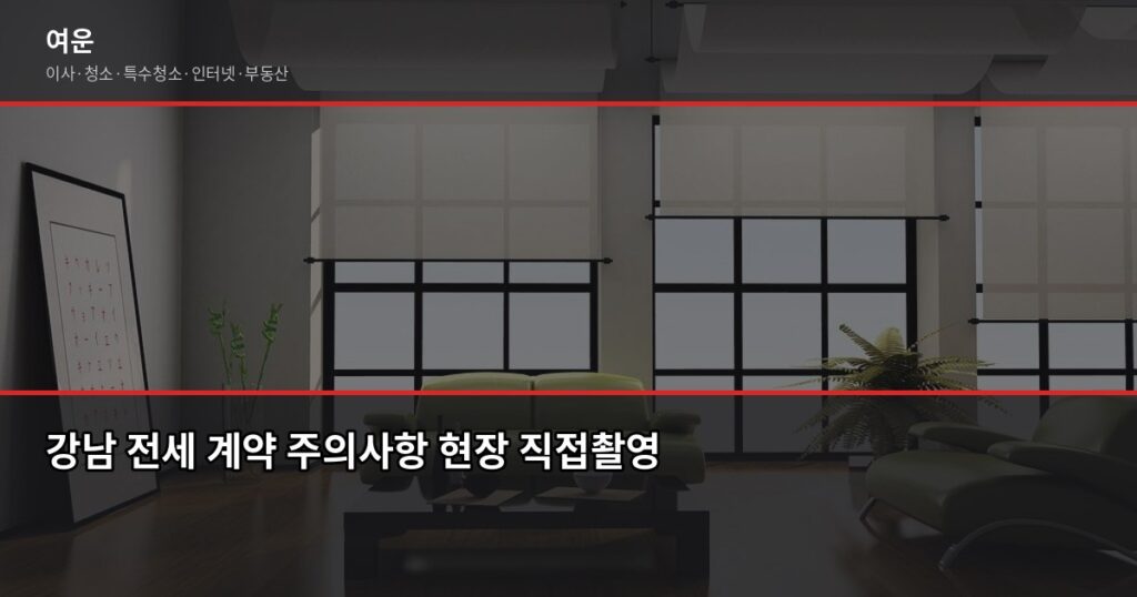 강남 전세사기 피해 막는 법, 계약 전 꼭 확인할 것들 - 강남 전세 계약 주의사항 현장 직접촬영