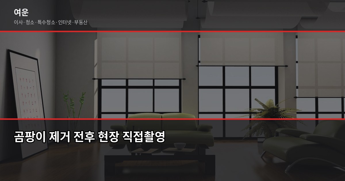 집 곰팡이 원인과 해결, 재발 없이 없애는 방법 6