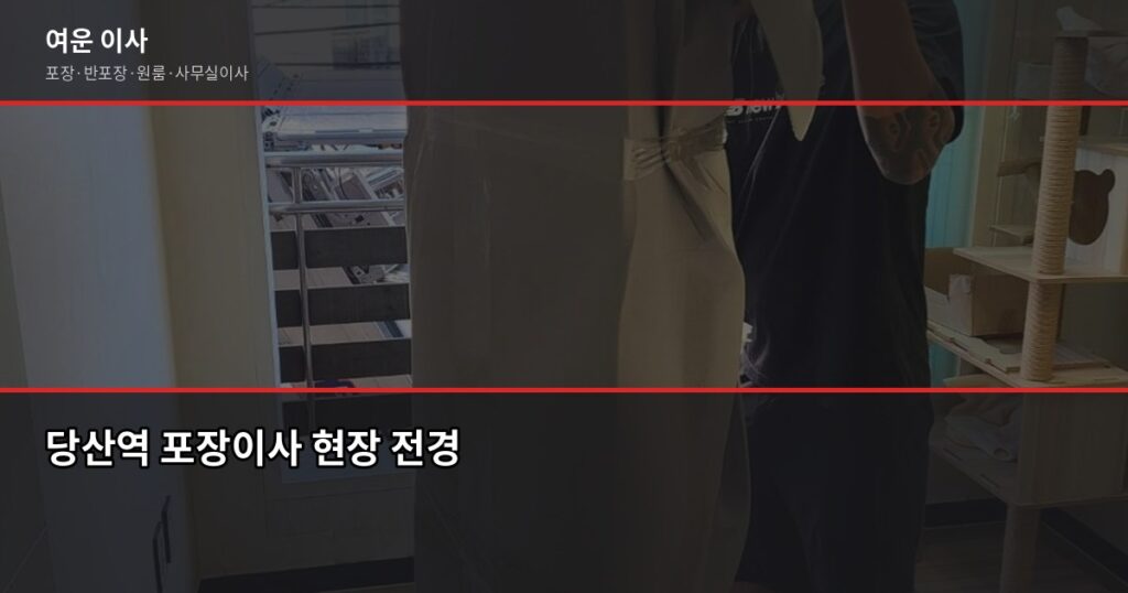 당산역 포장이사 비용, 1톤부터 5톤까지 평수별 견적 비교 - 당산역 포장이사 현장 전경