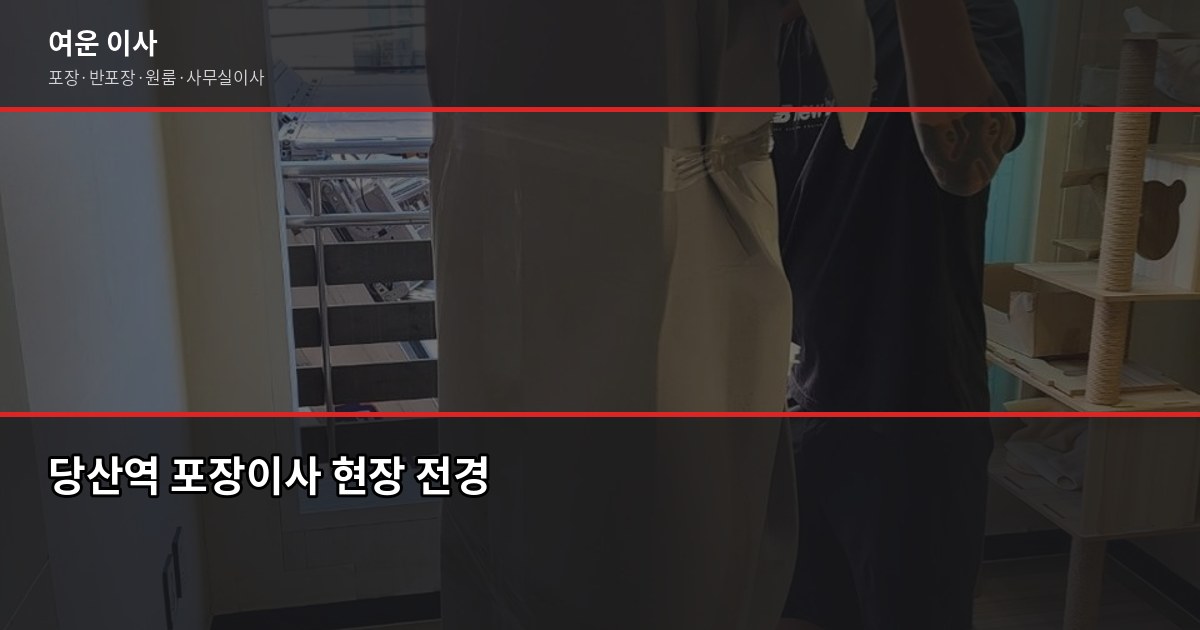 당산역 포장이사 비용, 1톤부터 5톤까지 평수별 견적 비교 1